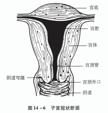 图片11.png