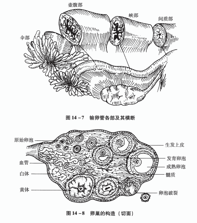 图片12.png