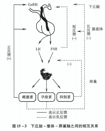 图片15.png